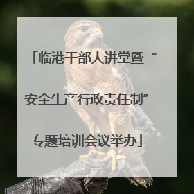 临港干部大讲堂暨“安全生产行政责任制”专题培训会议举办